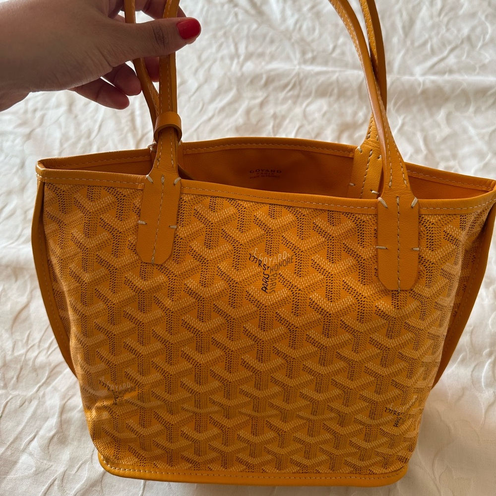 Goyard Mini Anjou Tote